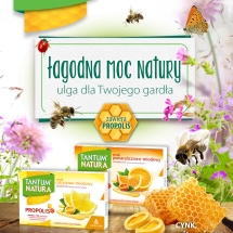 Tantum Natura propozycja KV